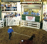 Gracemere Exhibition Complex - Kalgoorlie Accommodation