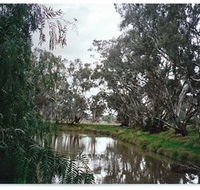 Henty Government Dam Nature Reserve - Kalgoorlie Accommodation