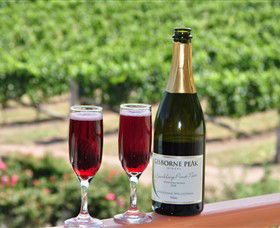 Gisborne Peak Winery - Kalgoorlie Accommodation 2