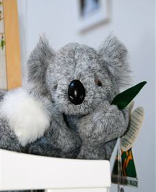 Timboon Toybox - Kalgoorlie Accommodation 1