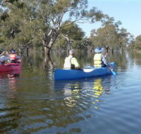 Doodle Cooma Swamp - Kalgoorlie Accommodation