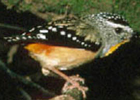 Reef Hills State Park - Kalgoorlie Accommodation 0