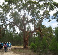 Koorilgur Nature Reserve - Kalgoorlie Accommodation