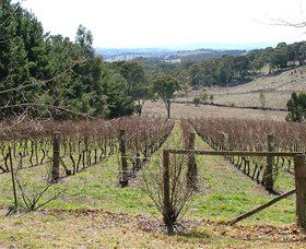 Habitat Vineyard - Kalgoorlie Accommodation 0