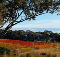 Bloodwood Estate
