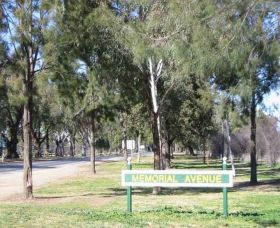 Memorial Avenue In Cowra - Kalgoorlie Accommodation 1