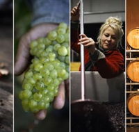 Ross Hill Wines
