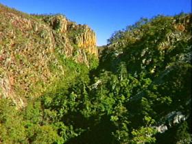 Kroombit Tops National Park - Kalgoorlie Accommodation 2