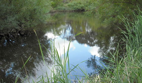 Mullion Range State Conservation Area - Kalgoorlie Accommodation 2
