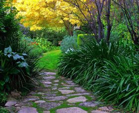 Out Of Town Nursery And Humming Garden - Kalgoorlie Accommodation 2