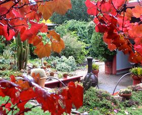 Out Of Town Nursery And Humming Garden - Kalgoorlie Accommodation 1