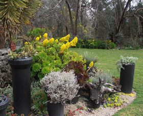 Out Of Town Nursery And Humming Garden - Kalgoorlie Accommodation 5