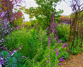 Out Of Town Nursery And Humming Garden - Kalgoorlie Accommodation 7