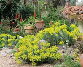 Out Of Town Nursery And Humming Garden - Kalgoorlie Accommodation 8