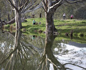 Wagirra Trail And Yindyamarra Sculpture Walk - Kalgoorlie Accommodation 1
