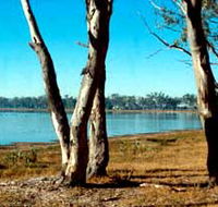 Lake Broadwater Conservation Park - Kalgoorlie Accommodation