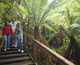 Beech Forest ACT Kalgoorlie Accommodation