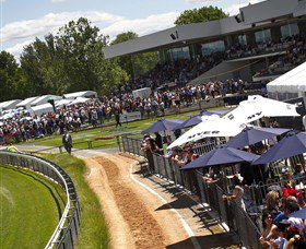 Thoroughbred Park Canberra Racing Club - Horse Racing In The Nations Capital - Kalgoorlie Accommodation 0