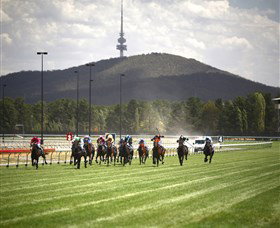 Thoroughbred Park Canberra Racing Club - Horse Racing In The Nations Capital - Kalgoorlie Accommodation 3