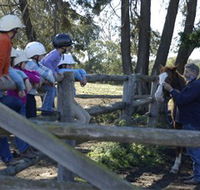 Harlow Park Horse Riding - Kalgoorlie Accommodation