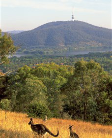 Canberra Centenary Trail - Kalgoorlie Accommodation 0