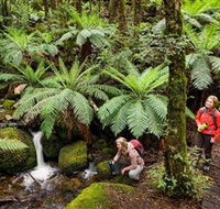 Baw Baw National Park - Kalgoorlie Accommodation