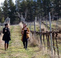 Mount Majura Vineyard - Kalgoorlie Accommodation