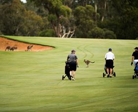 Federal Golf Club - Kalgoorlie Accommodation 0