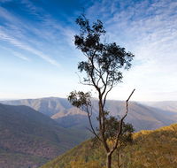 Salisbury Waters walking track - Kalgoorlie Accommodation