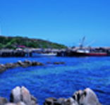 King Island Dairies