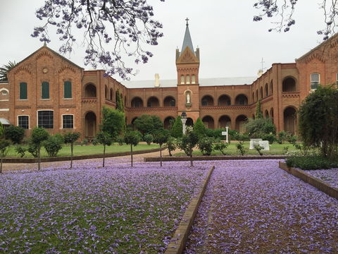 Sacred Spaces At The Sisters Of Mercy Convent - Kalgoorlie Accommodation 12