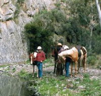 Yarramba Horse Riding - Kalgoorlie Accommodation
