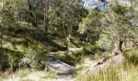 Wollomombi Walking Track - Kalgoorlie Accommodation 0