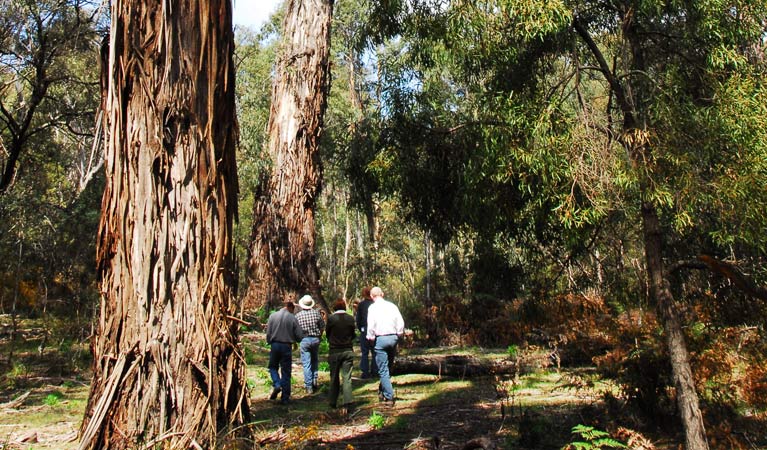 Araluen NSW Kalgoorlie Accommodation