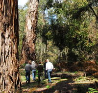 Tallaganda National Park - Kalgoorlie Accommodation