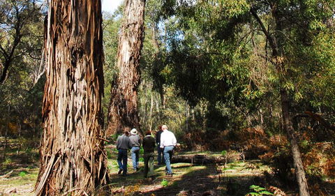 Tallaganda National Park - Kalgoorlie Accommodation 0