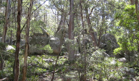 Tallaganda National Park - Kalgoorlie Accommodation 2