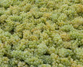 Normanby Wines - Kalgoorlie Accommodation 0