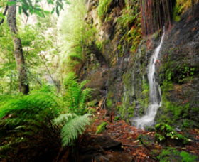 Fairy Bower Falls - Kalgoorlie Accommodation 0