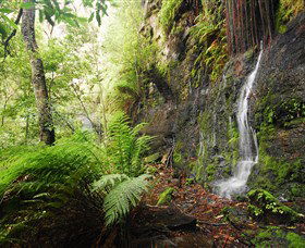 Fairy Bower Falls - Kalgoorlie Accommodation 2