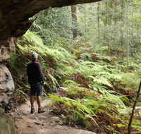 Dharug National Park - Kalgoorlie Accommodation