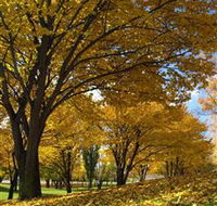 Centennial Park at Cooma - Kalgoorlie Accommodation