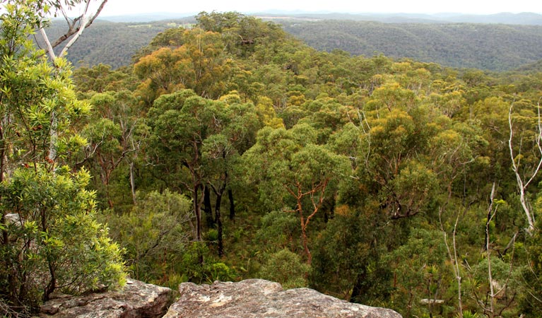 Mangrove Mountain NSW Kalgoorlie Accommodation