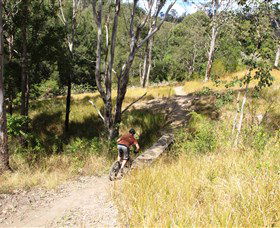The Steps Mountain Bike Park - Kalgoorlie Accommodation 2