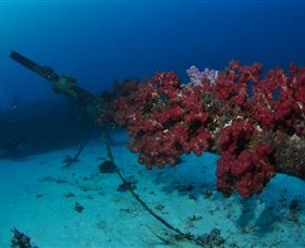 Severance Shipwreck Dive Site - Kalgoorlie Accommodation 2