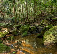Palm Grove Nature Reserve - Kalgoorlie Accommodation