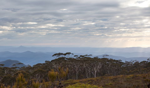 Mount Budawang Trail - Kalgoorlie Accommodation 0