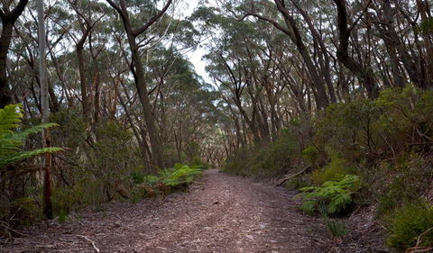 Mount Budawang Trail - Kalgoorlie Accommodation 1