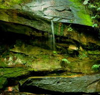 Strickland State Forest - Kalgoorlie Accommodation