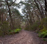 Budawang National Park - Kalgoorlie Accommodation